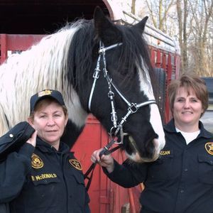 Meet your Posher, Dawn